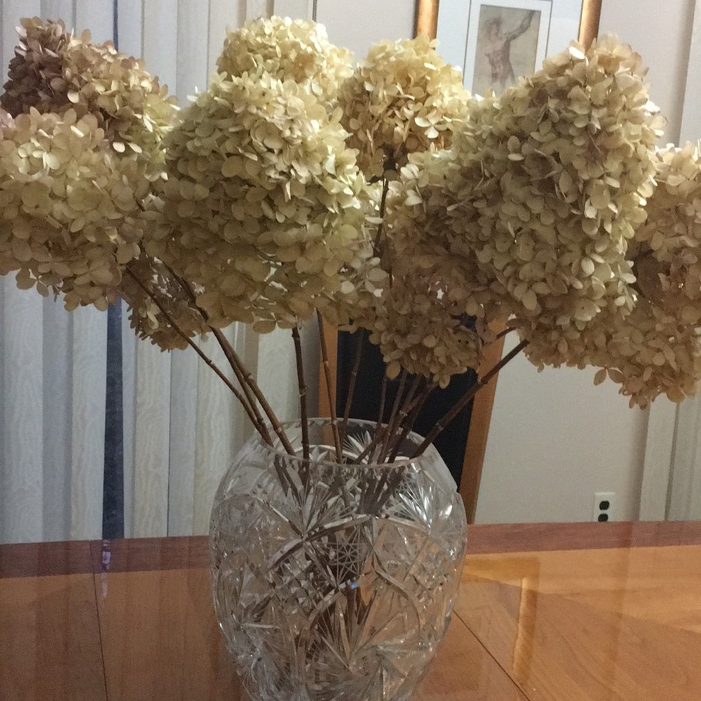 Meet your Posher, Yeva